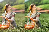 Photoshop�o田野中的少女人物照片制作成仿手�L油��效果。